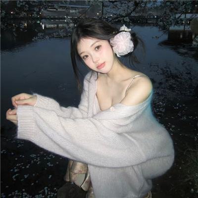 大盗明星梦